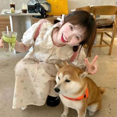 动画精选